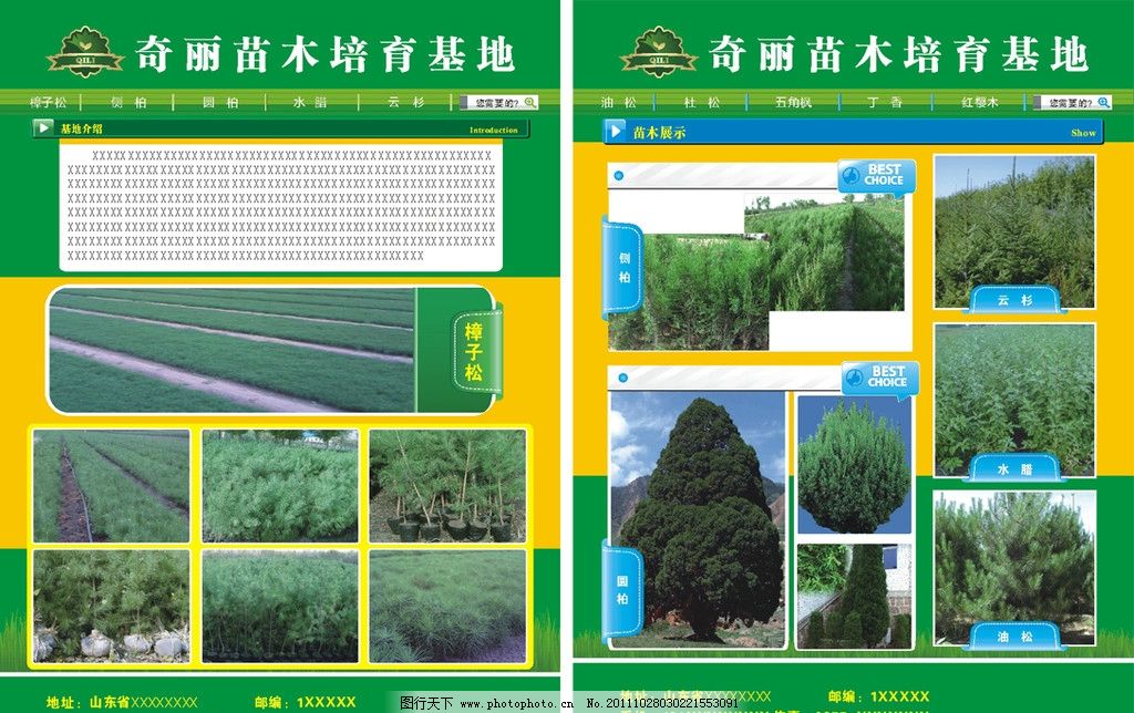 绿意盎然的起点 探秘现代化苗木培育基地